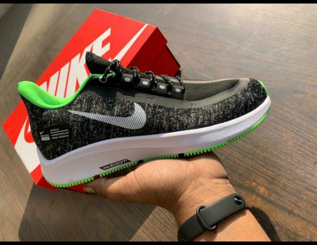 nike zoompegasus