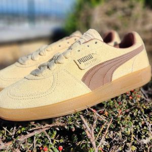 Puma Palermo Cream First Copy Shoes — Men's | COD India